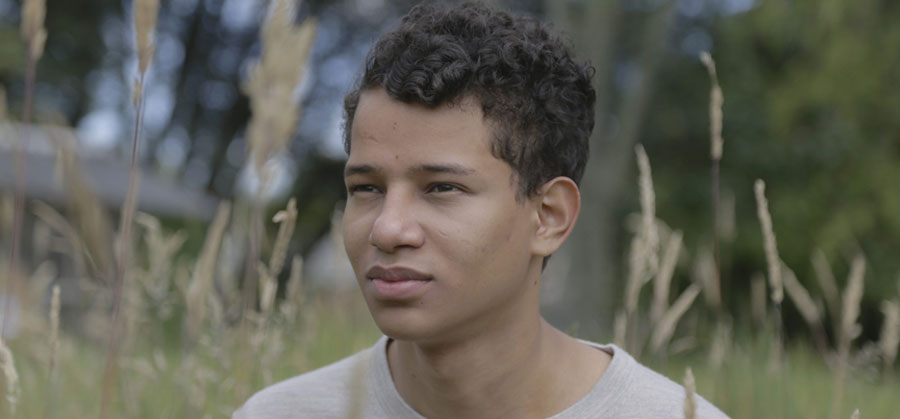 perfil adrian novoa albores 2019