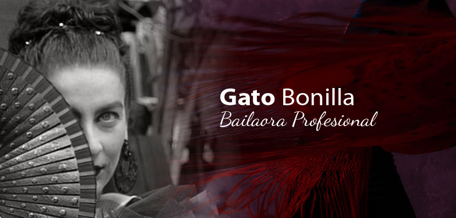 gato bonilla artista realto paella leyva