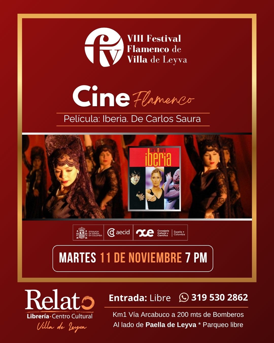 cine flamenco villa leyva